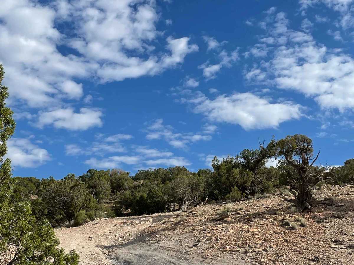 Smith Mountain Jeep Road Overlook photo 6