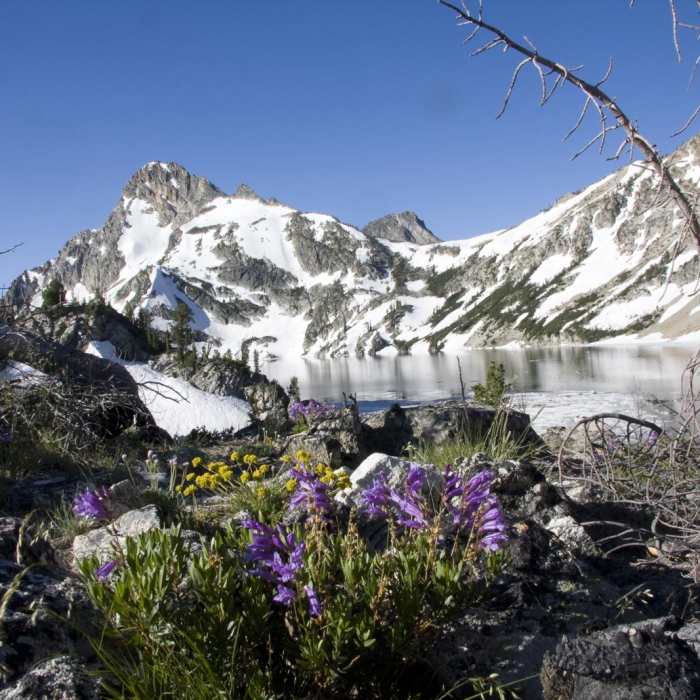 Near Alpine + Sawtooth Lakes, Iron Creek Drainage