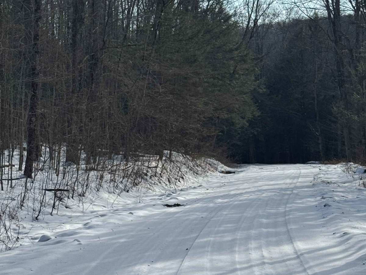West Branch Road photo 3