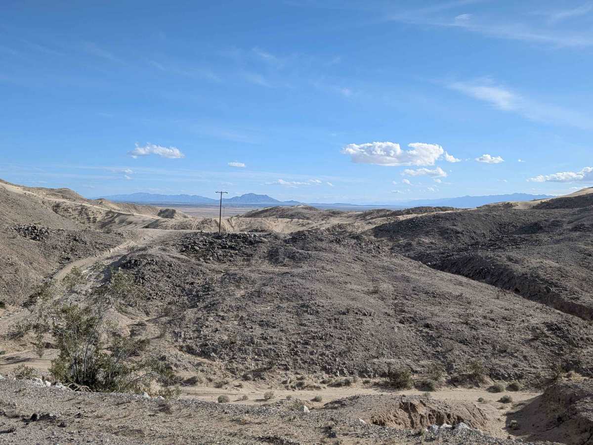 BLM 335 photo 4