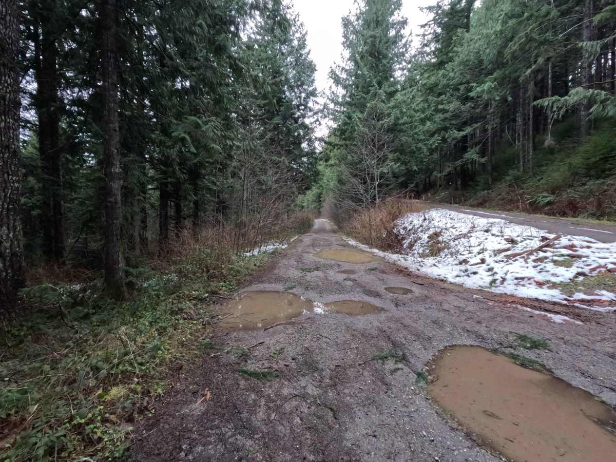 Dan's Creek - FS 24 photo 6