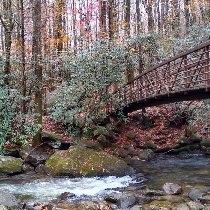 Footbridge connecting day use parking area to trailhead. Near Jones Gap - Caesars Head Loop