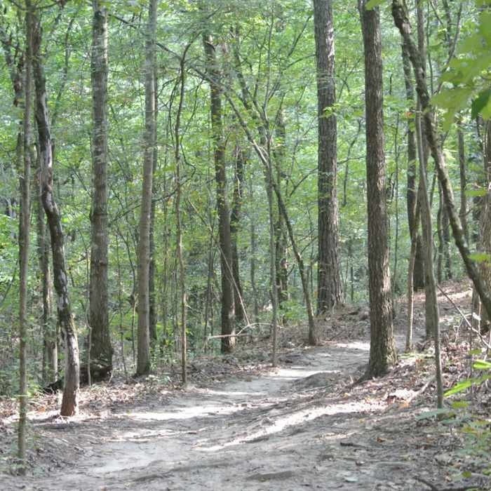 Red Mountain Park Near Red Mountain Loop