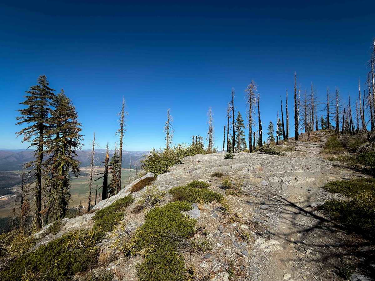 Indian Falls Ridge  photo 6