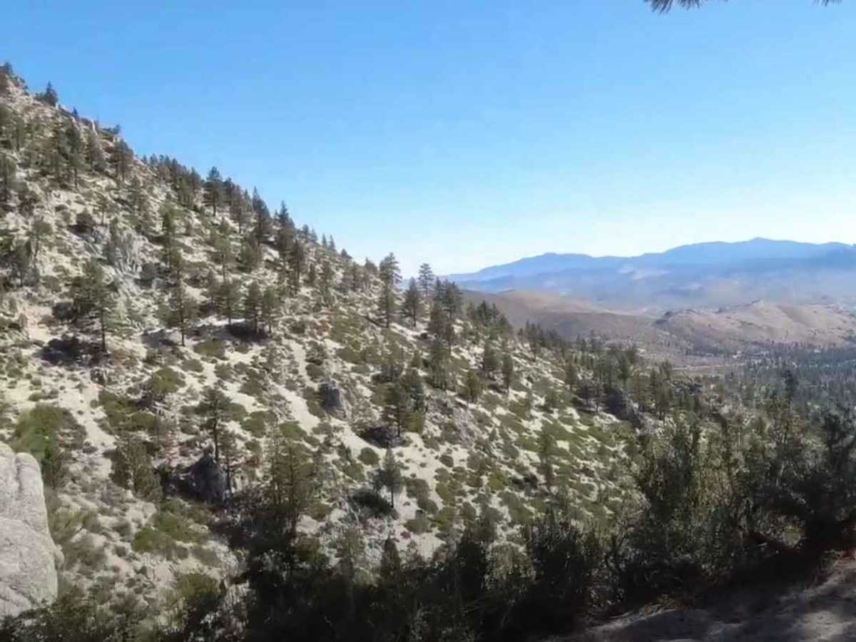 Kings Canyon Road photo 6