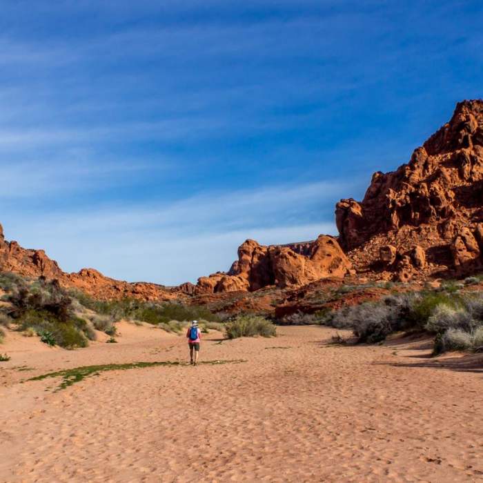 Near Natural Arches Trail