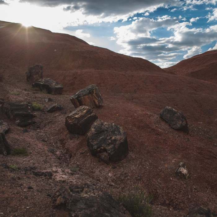 Near Painted Desert Near Painted Desert