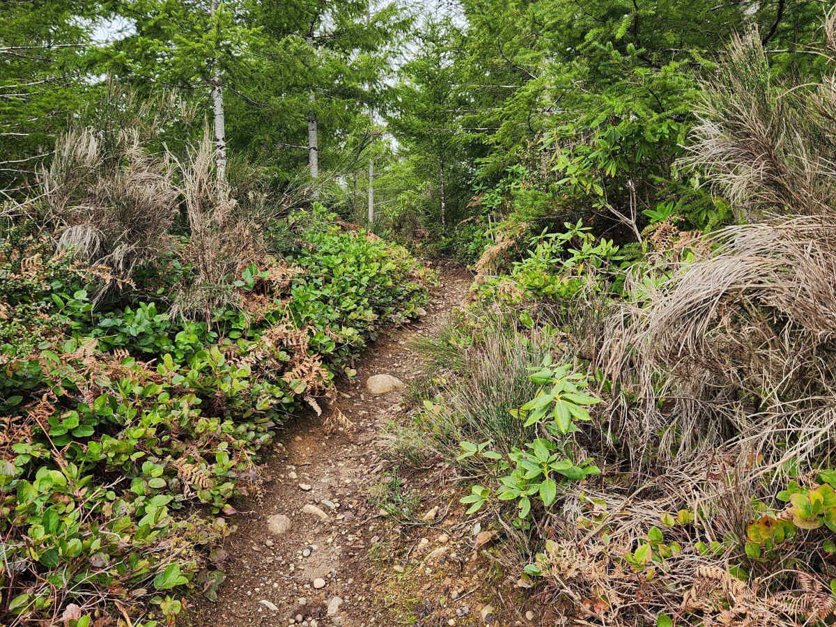 Apple Road trail photo