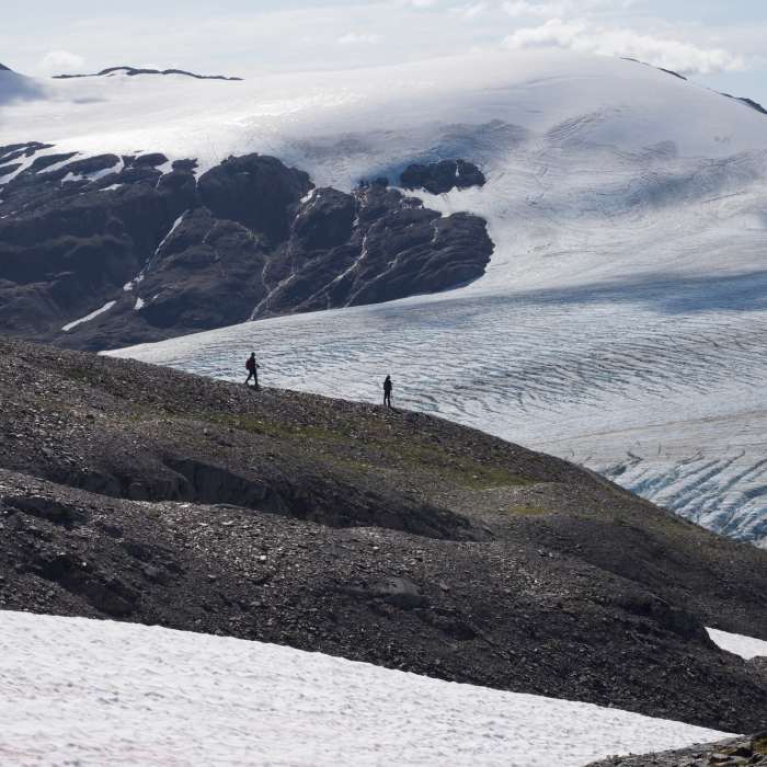 Near Harding Icefield Out and Back