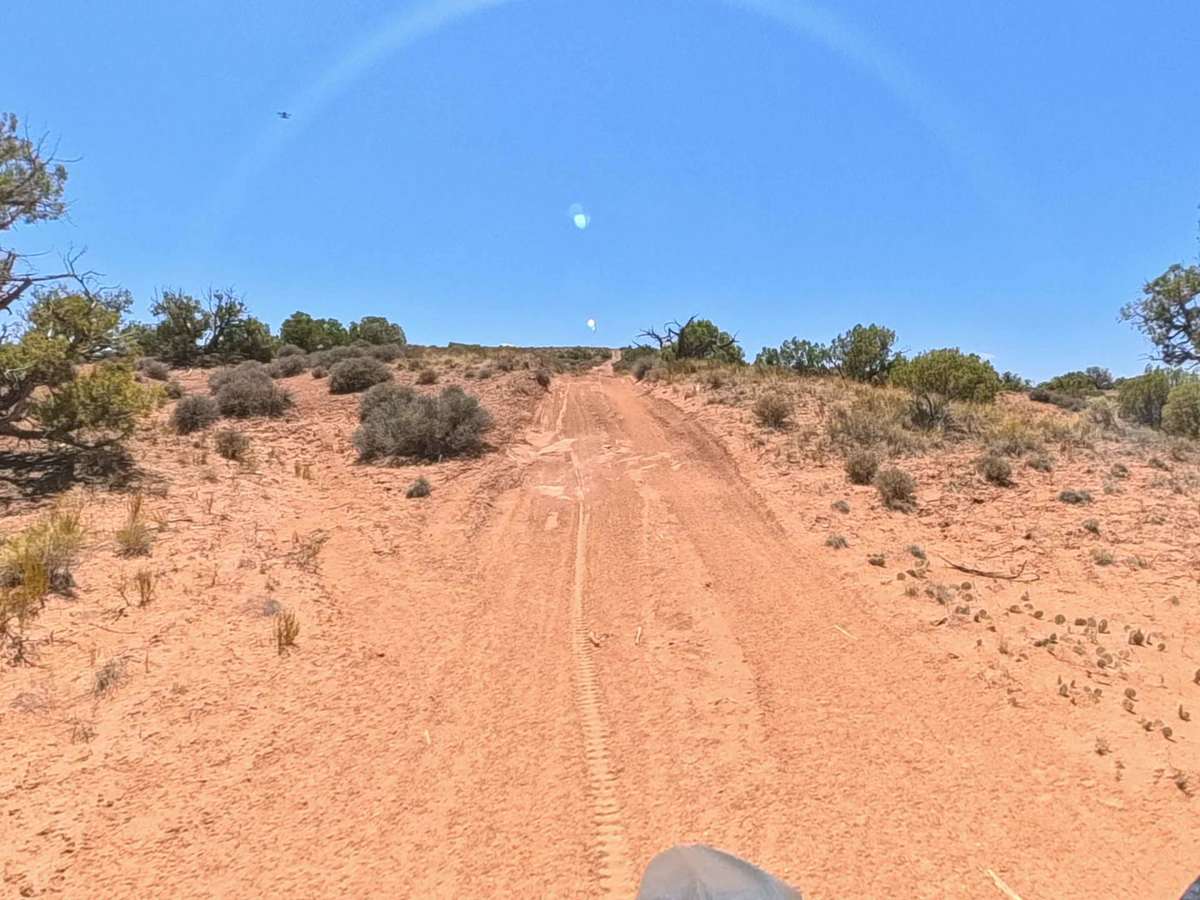 D1052 trail photo