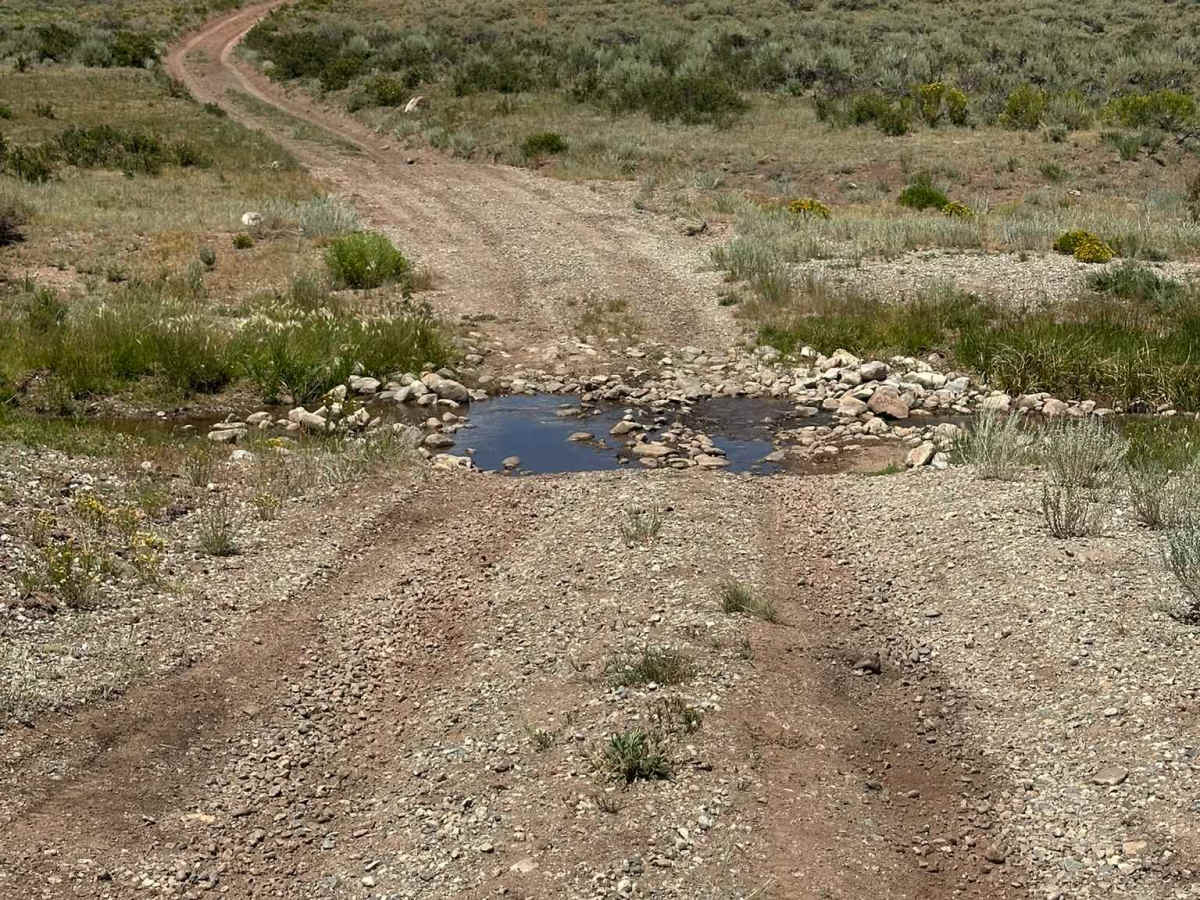 Ponderosa Road photo 4