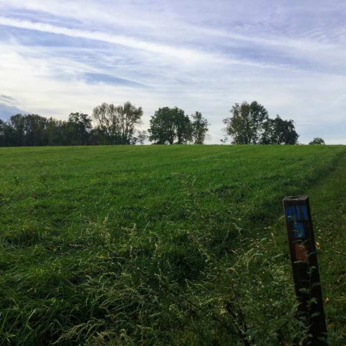 the end of the blue trail and the turn of the orange trail Near Point Mountain Reservation - North to South