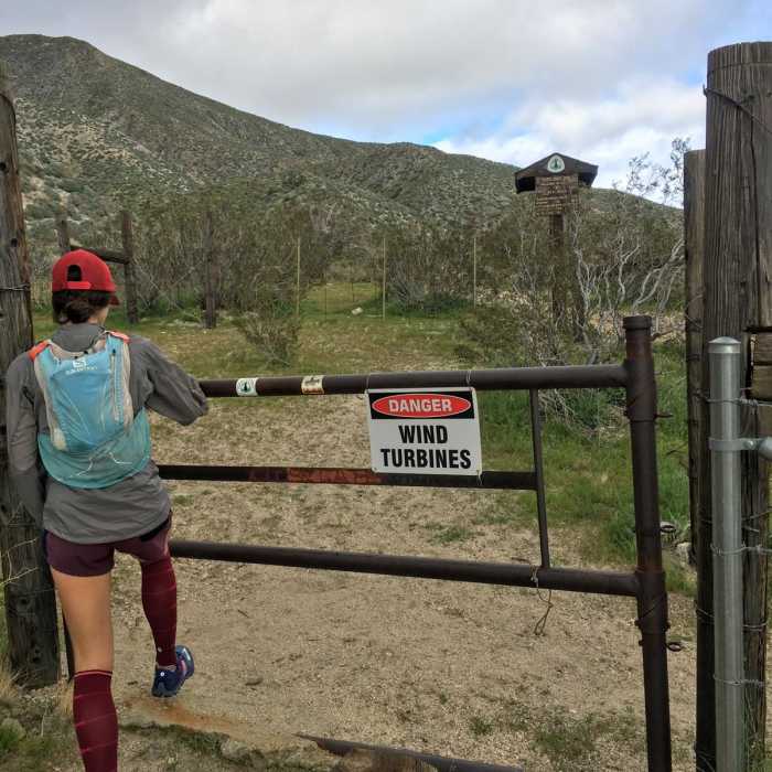 Near Cottonwood Canyon to Red Dome