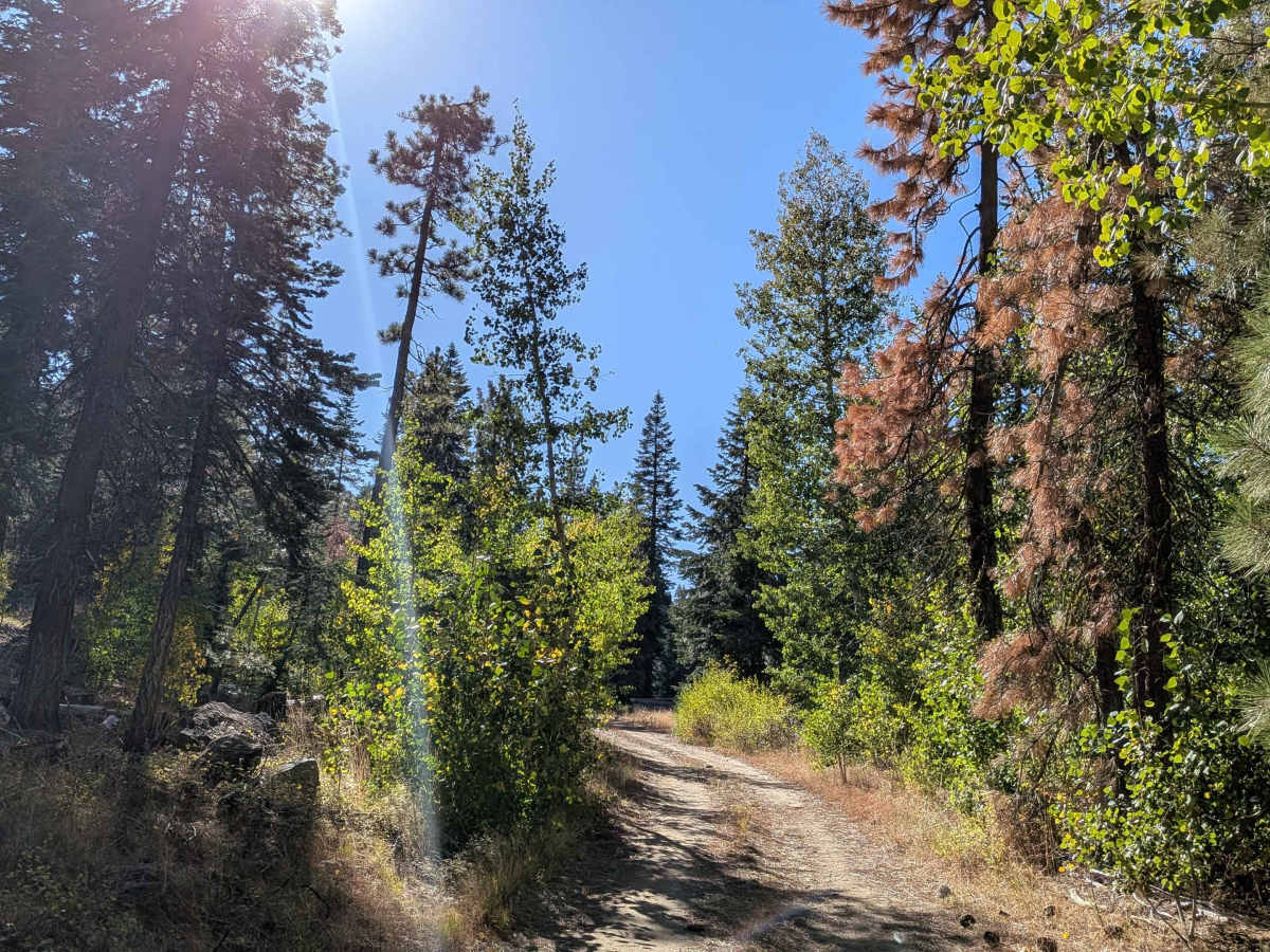 Mill Creek Road - FS5N21 trail photo