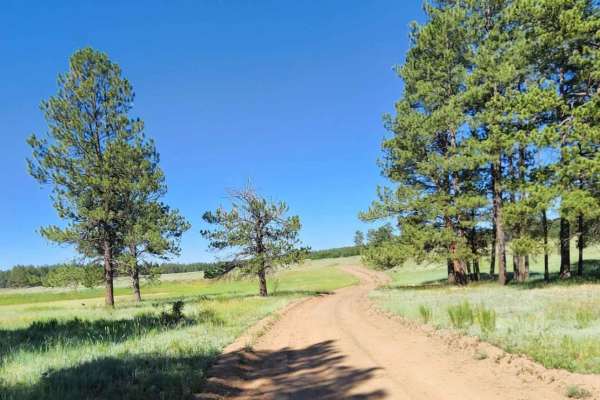 Trail Canyon