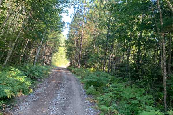 Vermigrade Spur Di Trail