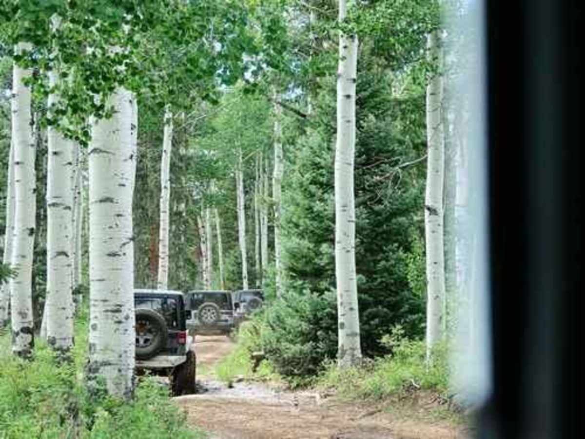 Roubideau Jeep Trail trail photo