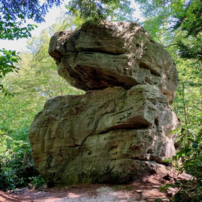 Near Balanced Rock Trail