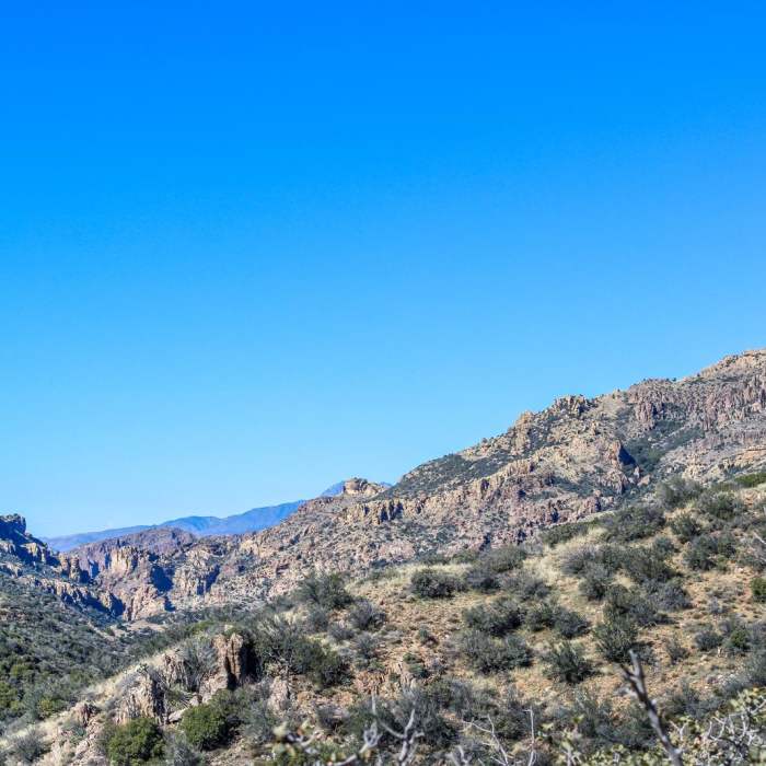 Near Rogers Canyon Trail