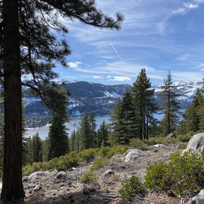 Near Donner Lake Rim Trail: Northwood Boulevard Section