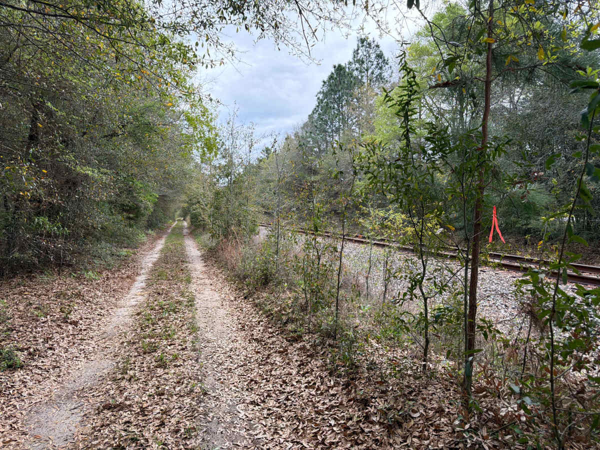 Johnny Parker Road photo 4
