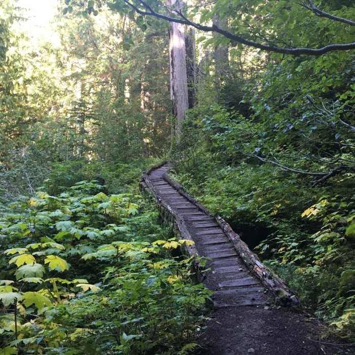 Near Pratt Lake Trail #1007