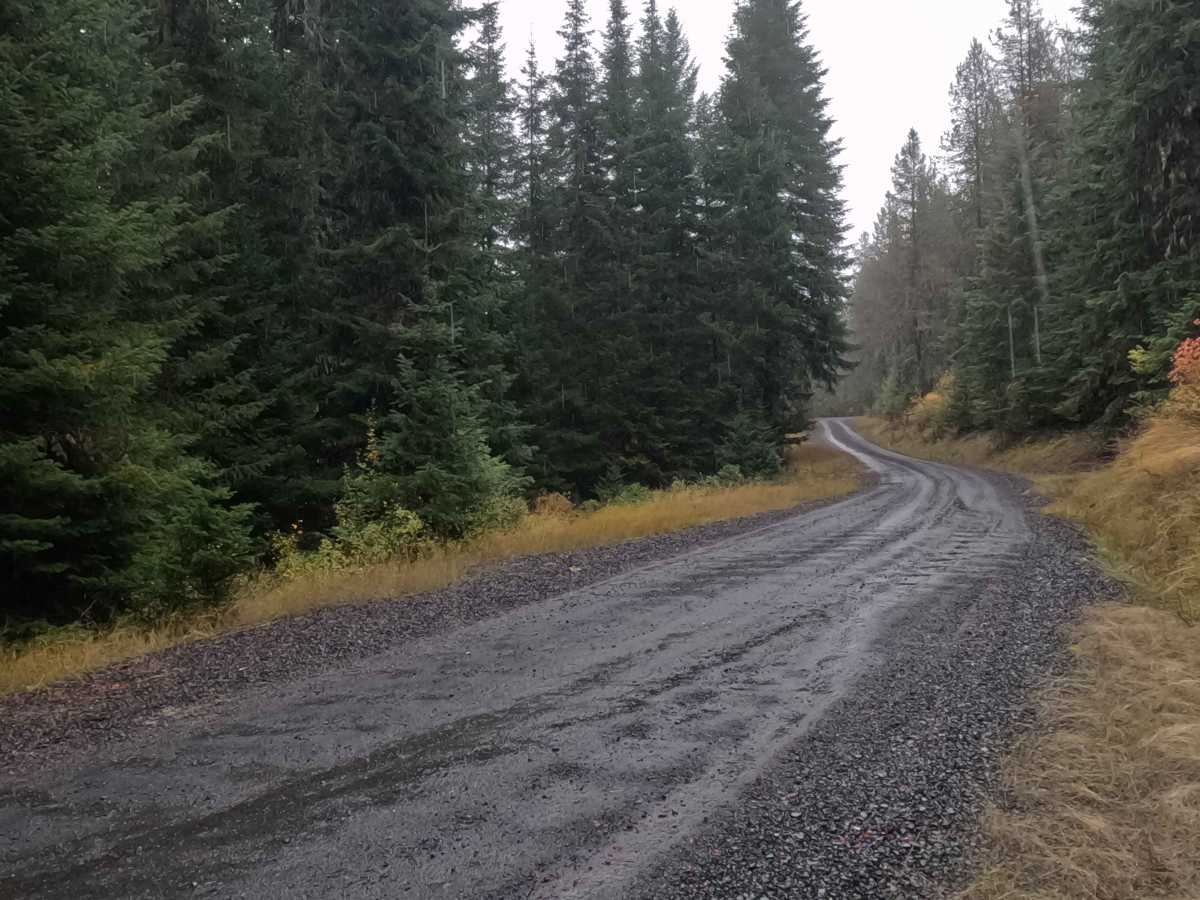 Moose Creek - FS 381  photo 3