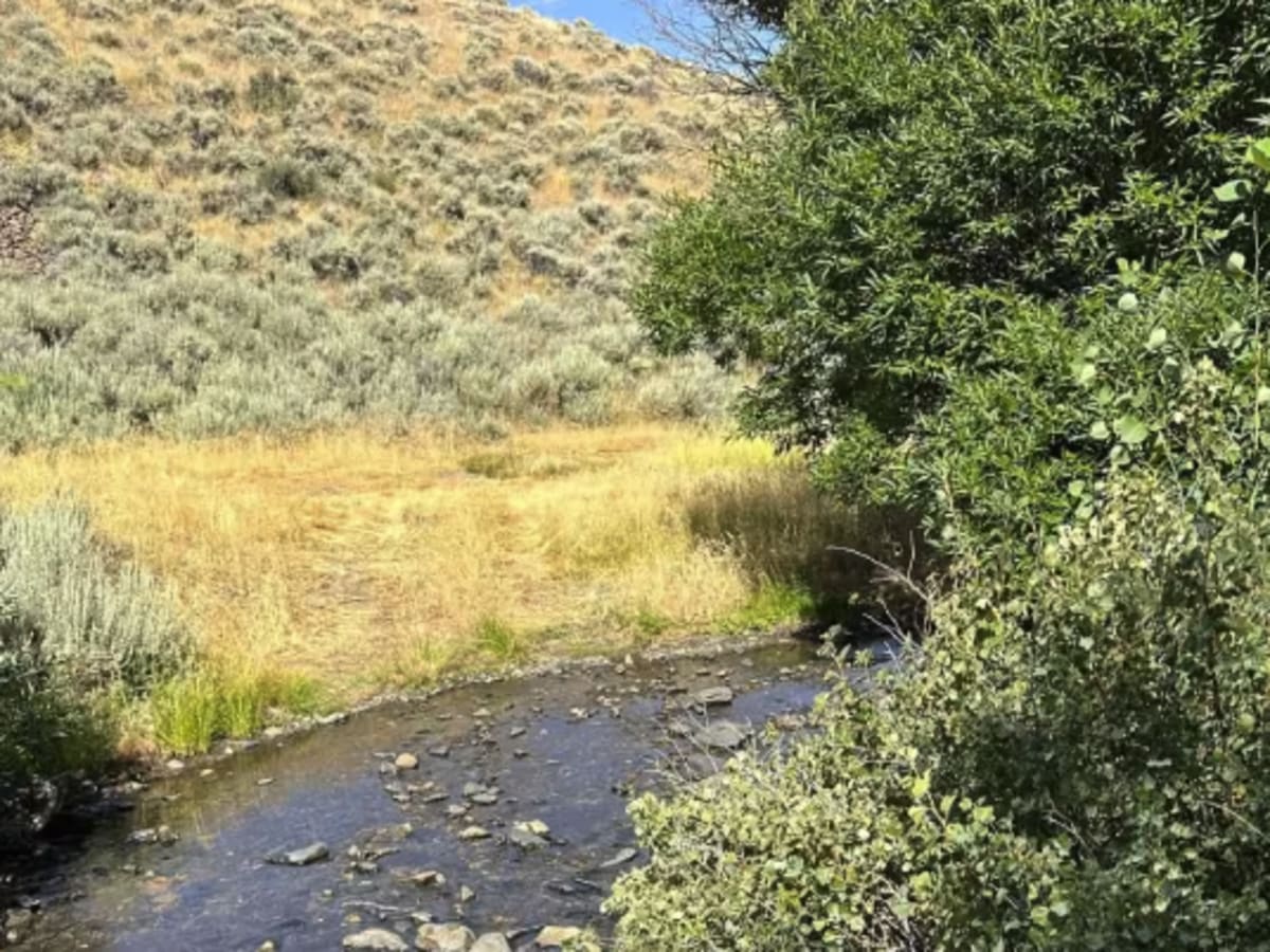 Abel Creek photo 6