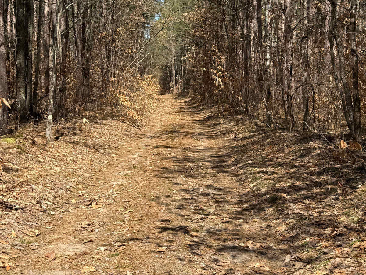 FS 8810 trail photo