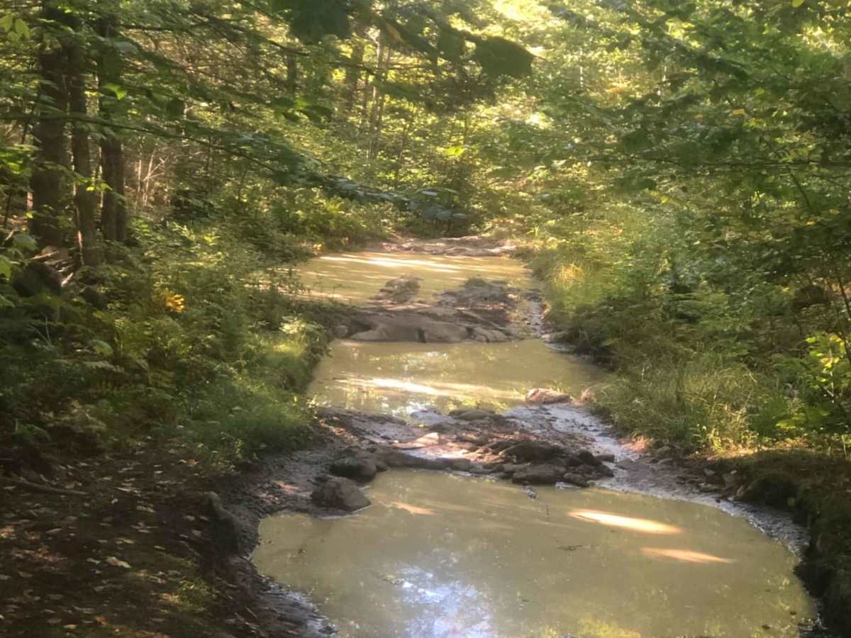 Cobble Hill Road Trail photo 6