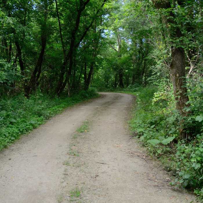 Near Northwest Day Use Area Loop Near Northwest Day Use Area Loop