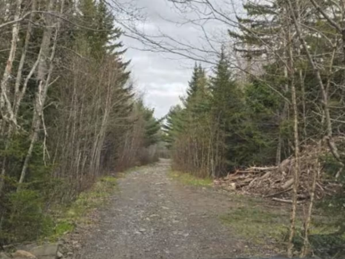 Sandy Lake Road to Golden Lake photo 6