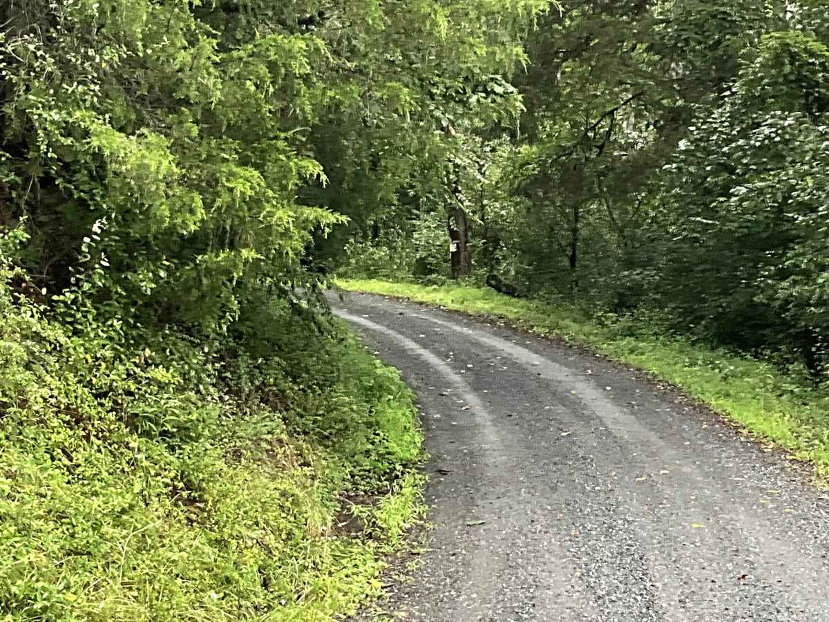 The Knob Road photo 4