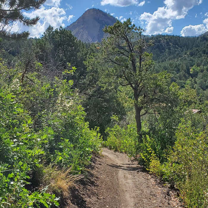 Perins Peak in the distance from Hidden Valley Trail. Near Hidden Valley
