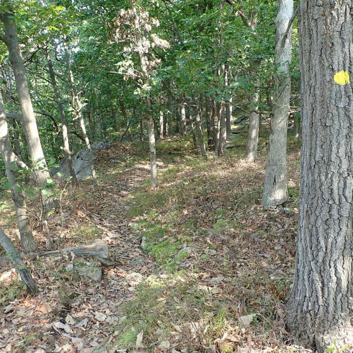 Near Sackett Ridge - Golden Ridge Loop