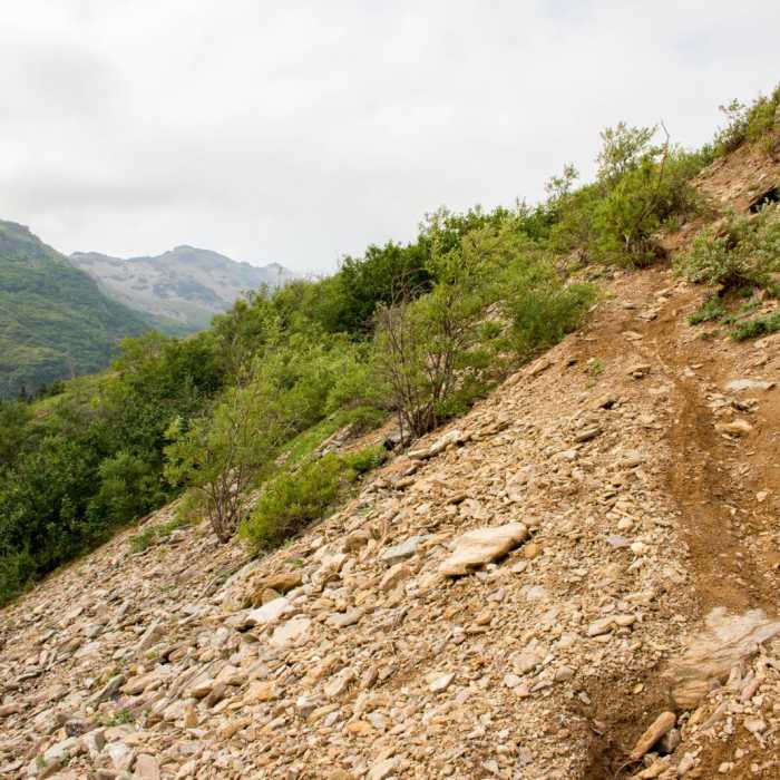 Near Mt. Healy From Bison Gulch Near Mt. Healy From Bison Gulch