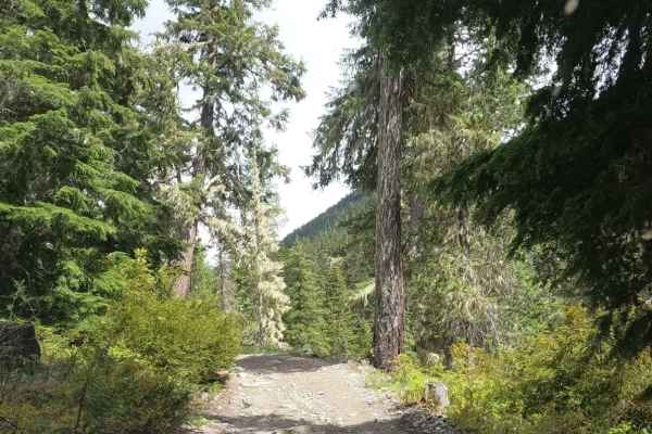 Fortune Creek 4WD Trail - NF301 - Lower Section