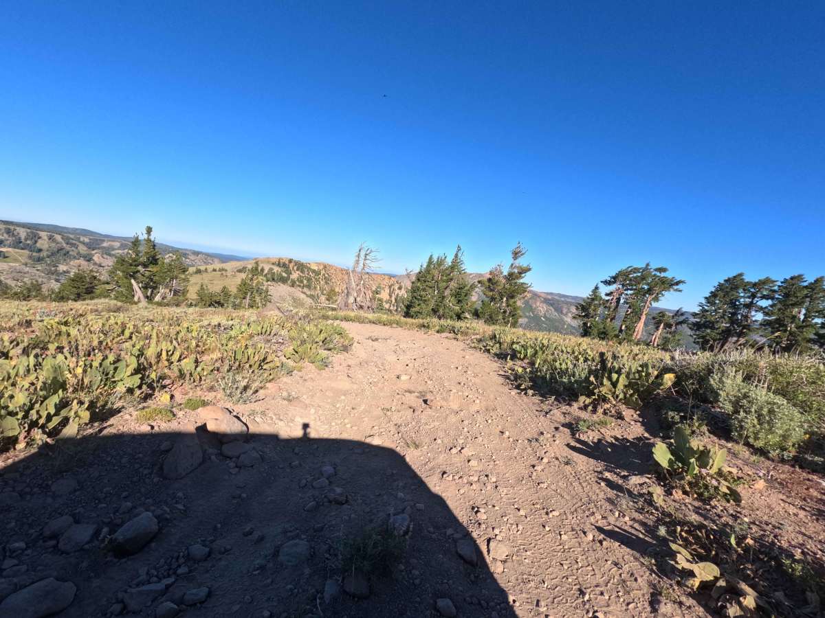 Lake Valley Trailhead - FS 7N93 photo 6
