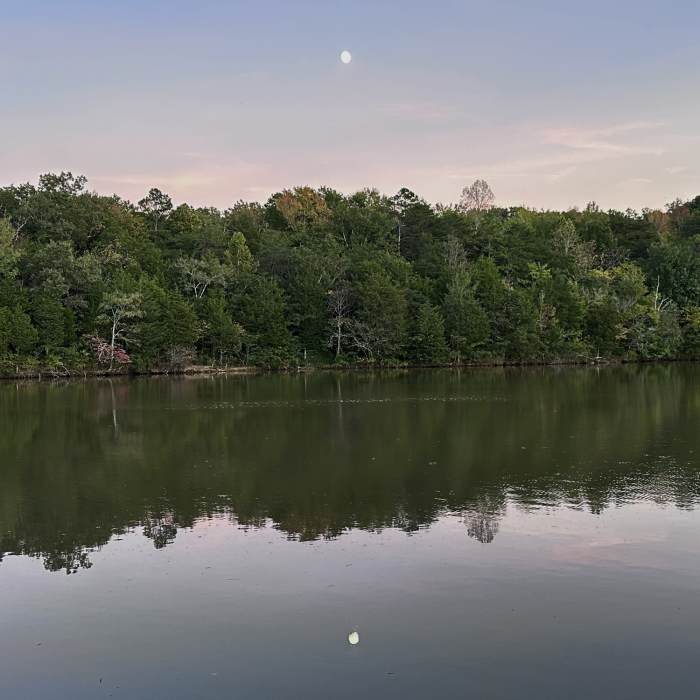 Near Upper Beginner Trail