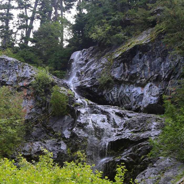 Near Commonwealth Basin Trail to Red Pass