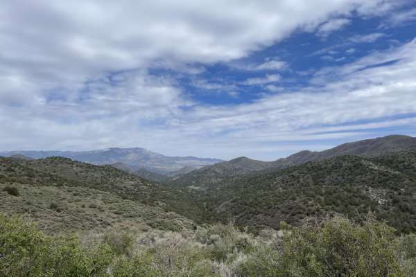 East Fork of Beaver Dam Wash