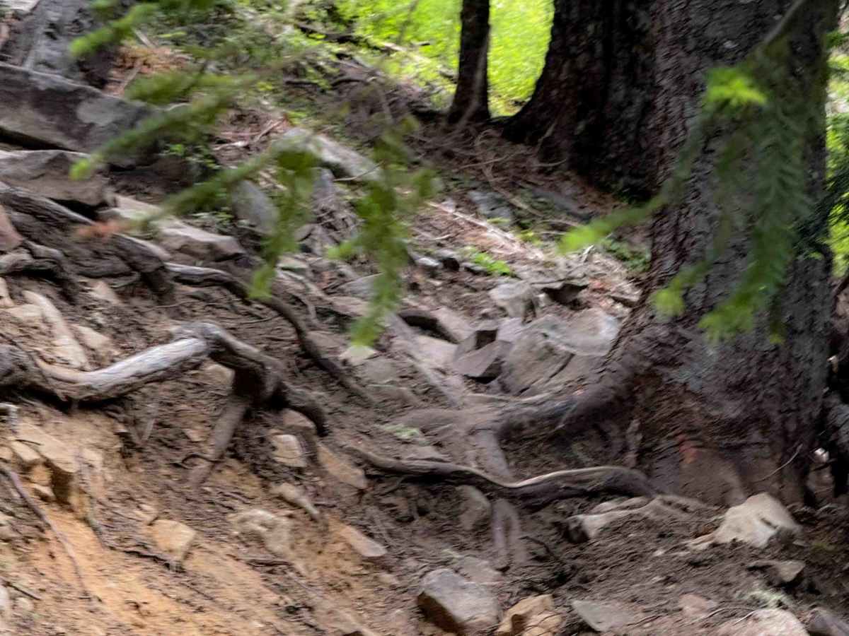 Elsnore Mine - Trail 1392.8  photo 3