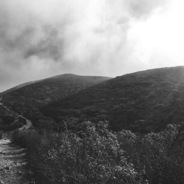 Near Nighthawk Trail