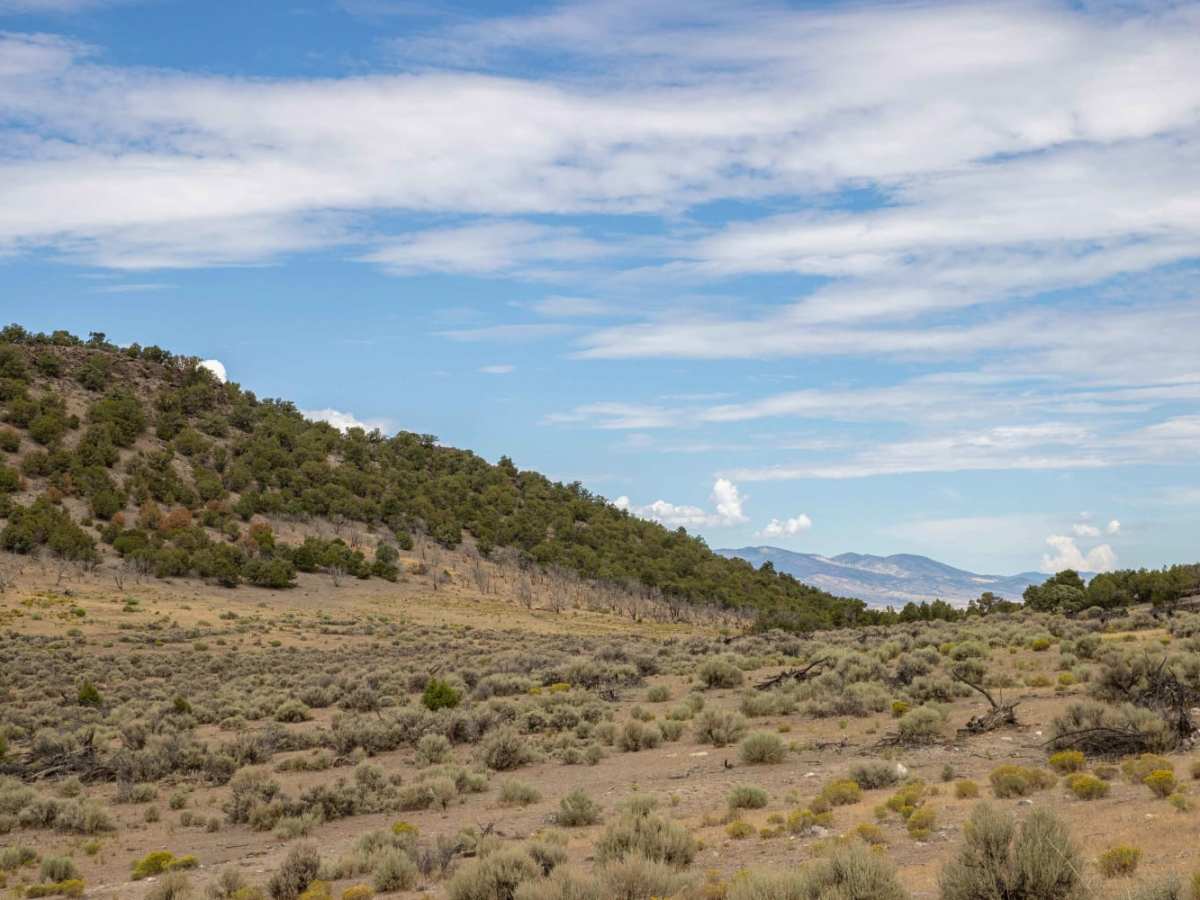 Black Mountain Road photo 3