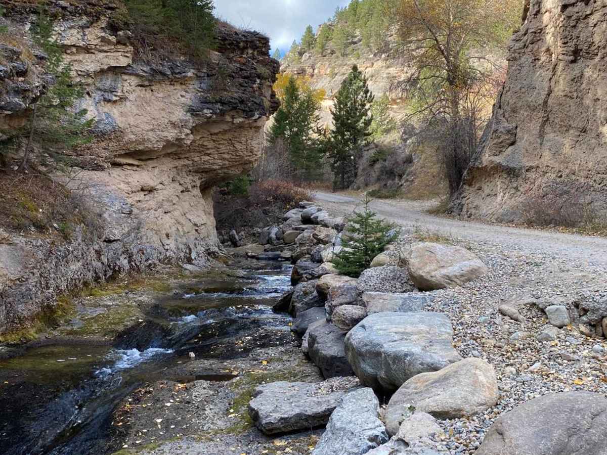 Crazy Woman Canyon Road photo 4