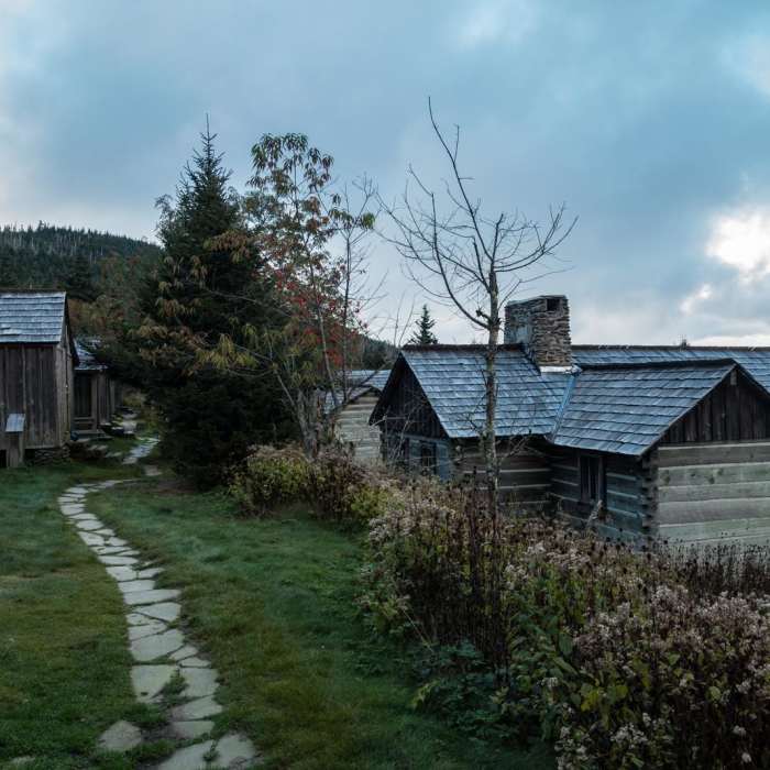 Near Mount LeConte via Trillium Gap + Boulevard Trail Near Mount LeConte via Trillium Gap + Boulevard Trail