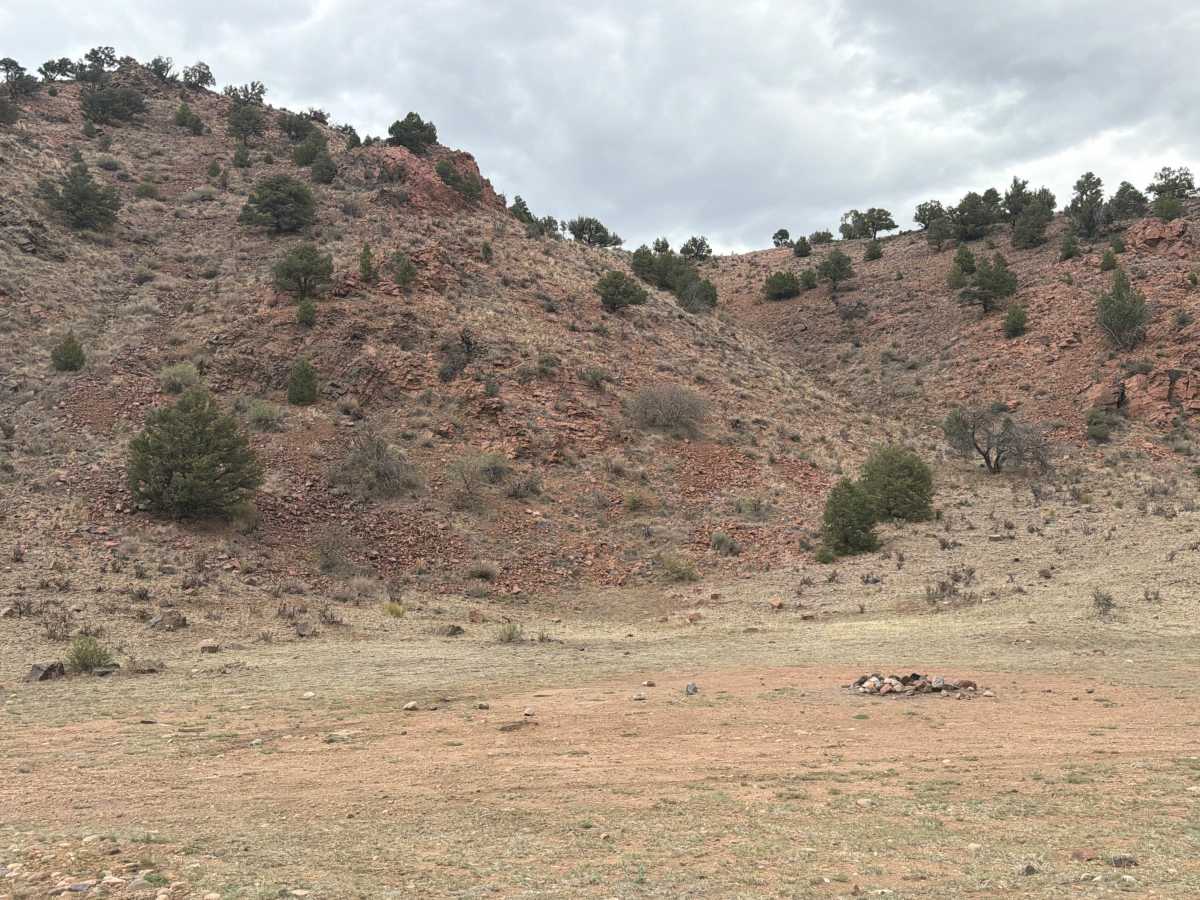 BLM 6020 photo 6