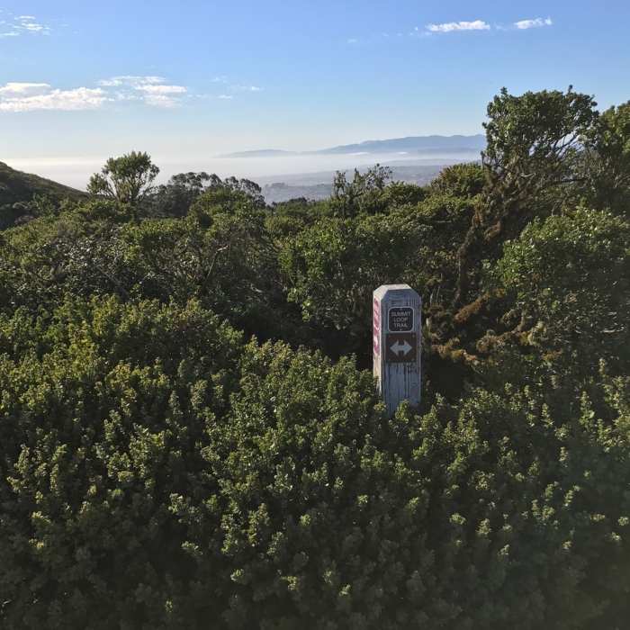 Near Summit Loop Trail