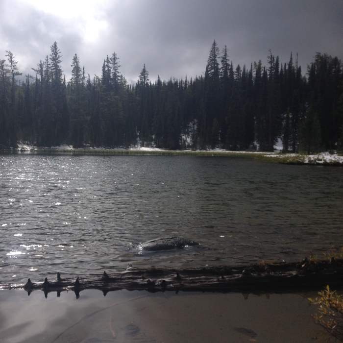 Near Bluebird and Wolverine Lake Loop