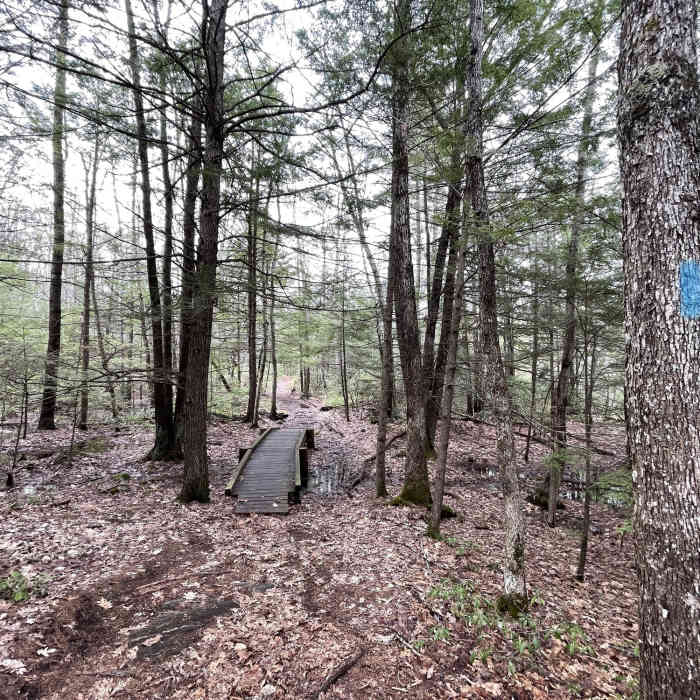 Near Rocky Ridge Trail